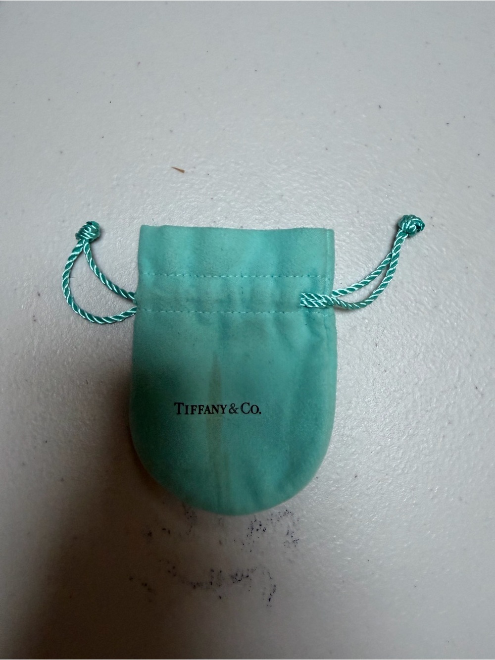 Tiffany & Co. Robin's Egg Blue Velvet Jewelry Pouch